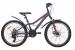 Велосипед горный AIST Rosy Junior 2.1 24" Disc серый